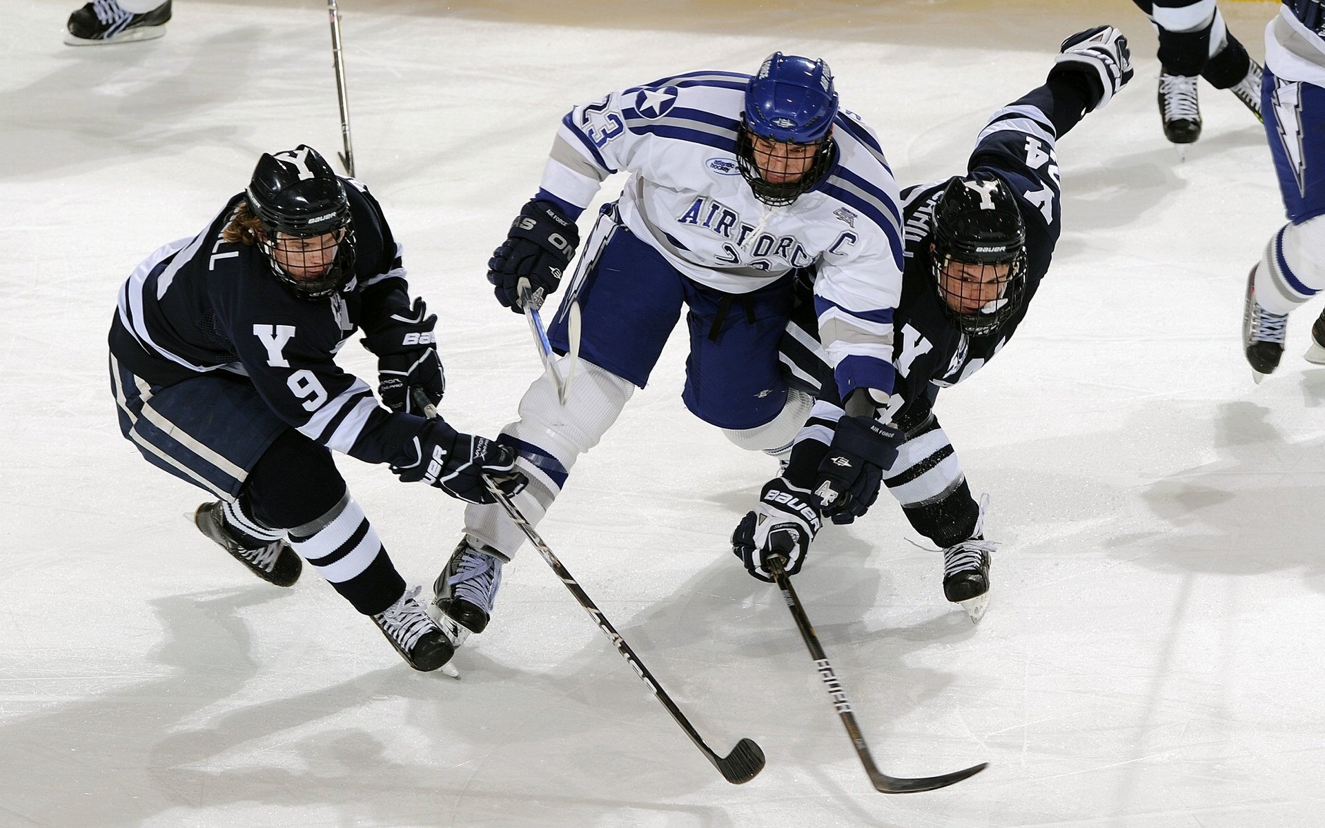 粉丝狂欢夜:线上线下全力助威助阵,粉丝活动